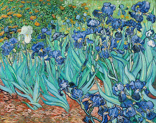 konfigurieren des Kunstdrucks in Wunschgröße Iris. 1889 von Van Gogh, Vincent