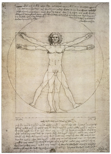 konfigurieren des Kunstdrucks in Wunschgröße Porportionszeichnung, nach Vitruv. 1490 von Da Vinci, Leonardo