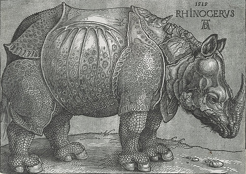 konfigurieren des Kunstdrucks in Wunschgröße Rhinocerus. 1515 von Durer, Albrecht