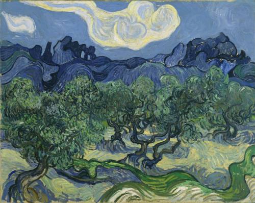 konfigurieren des Kunstdrucks in Wunschgröße Olivenbume 1889 von Van Gogh, Vincent