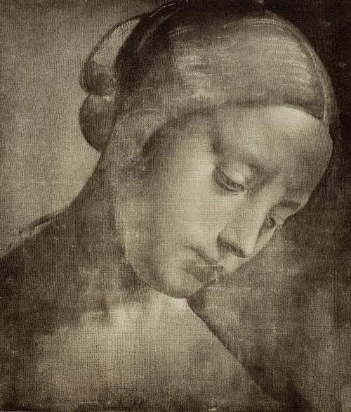 konfigurieren des Kunstdrucks in Wunschgröße Weiblicher Kopf. Ca. 1470-1519. von Da Vinci, Leonardo
