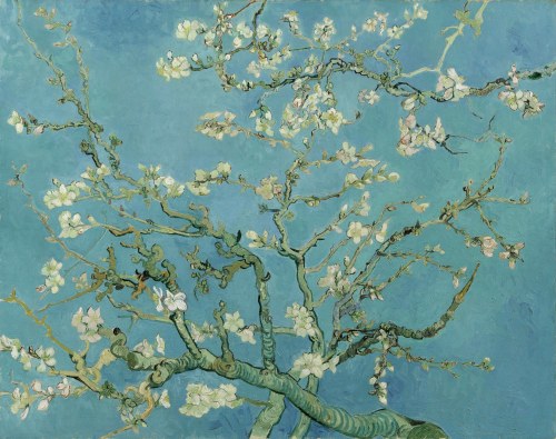 konfigurieren des Kunstdrucks in Wunschgröße Mandelblte 1890 von Van Gogh, Vincent